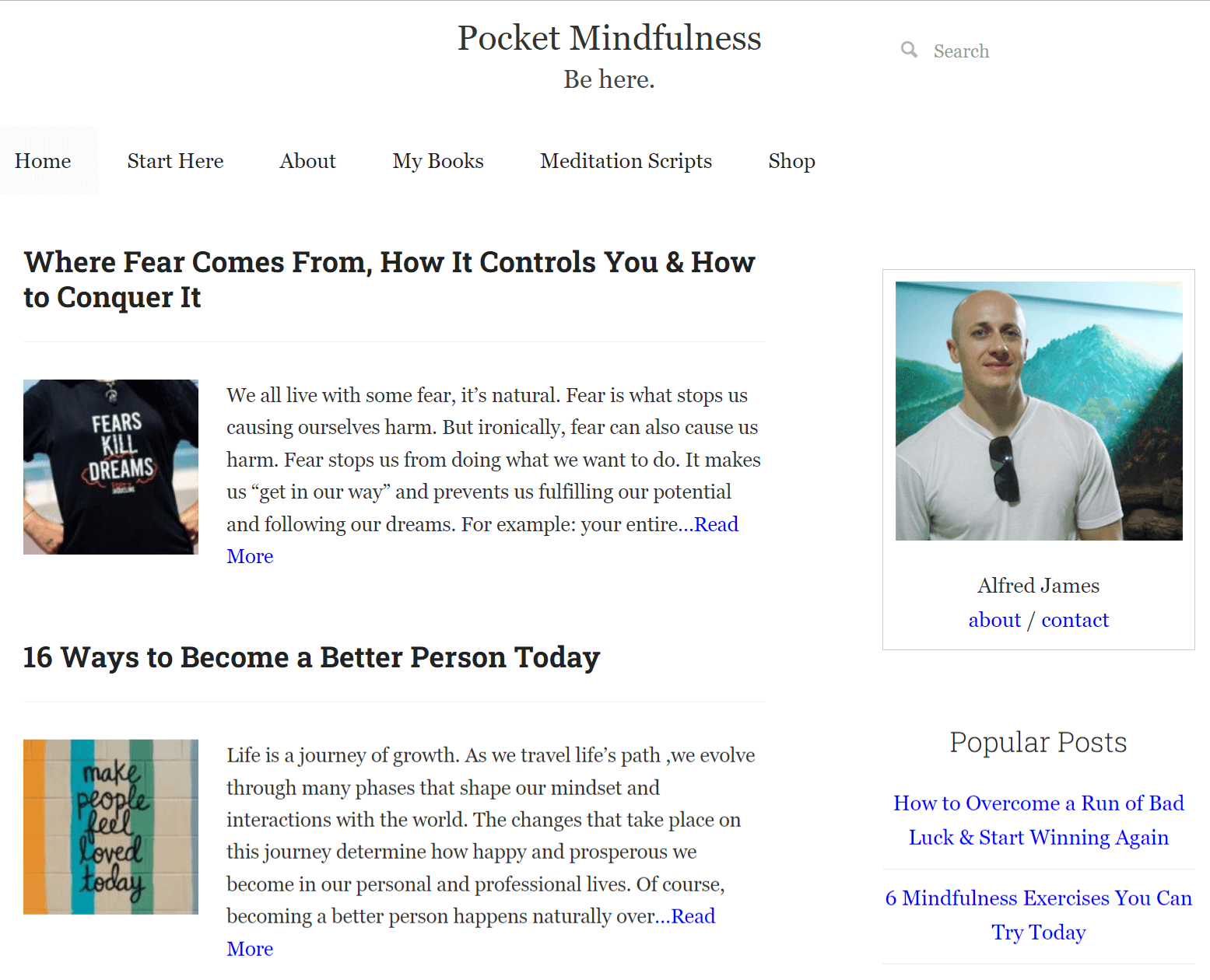 Pocket Mindfulness Blogs