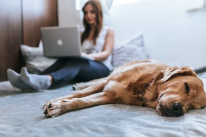 How to Start a Pet Blog